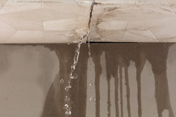 Professional Flood Damage Cleanup technician working in Belleville, WI